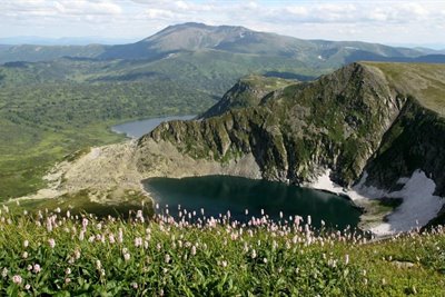 Растительность горного заповедника
