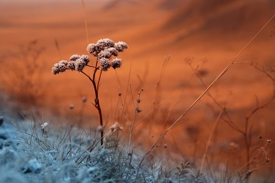 Зимние скальные гребни памятника природы Уйтаг